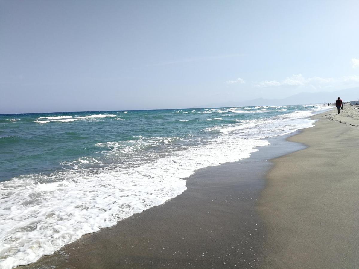 Agreable Studio 50M De La Plage Canet-en-Roussillon Eksteriør billede